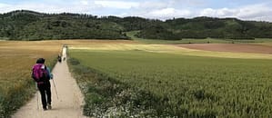 QUE LLEVAR EN TU MOCHILA DE MONTAÑA PARA EL CAMINO DE SANTIAGO 1 Elegir mochila de montaña para el Camino de Santiago, Alejandra con mochila Decathlon 50 litros